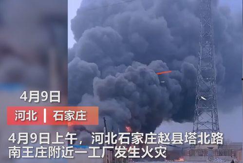 魏县最新事件爆料视频曝光 第1张 魏县最新事件爆料视频曝光 第1张