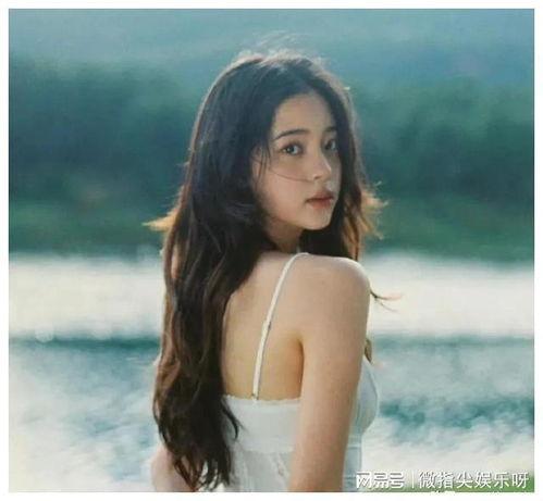 娱乐圈八卦最新爆料白鹿 第3张 娱乐圈八卦最新爆料白鹿 第3张